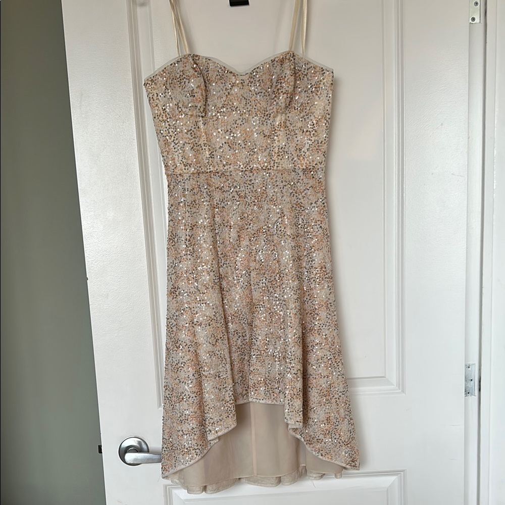 Elegant Cream Sequin Dress